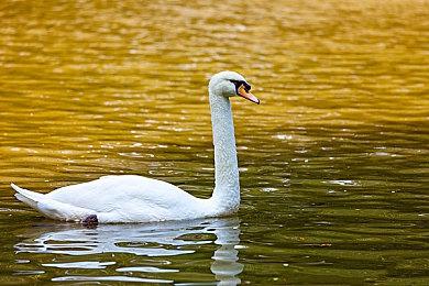 《明末：渊虚之羽》新视觉图 国风克苏鲁魂类ARPG