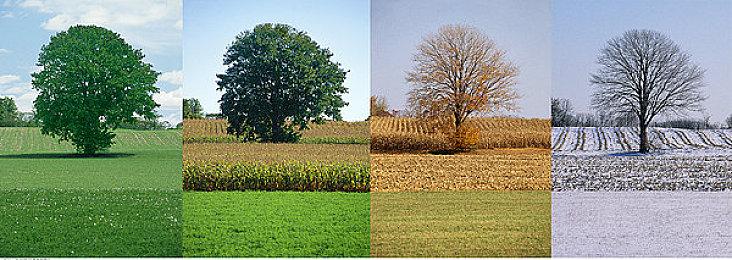 NSO 会员N64游戏库今日更新 三款游戏入库